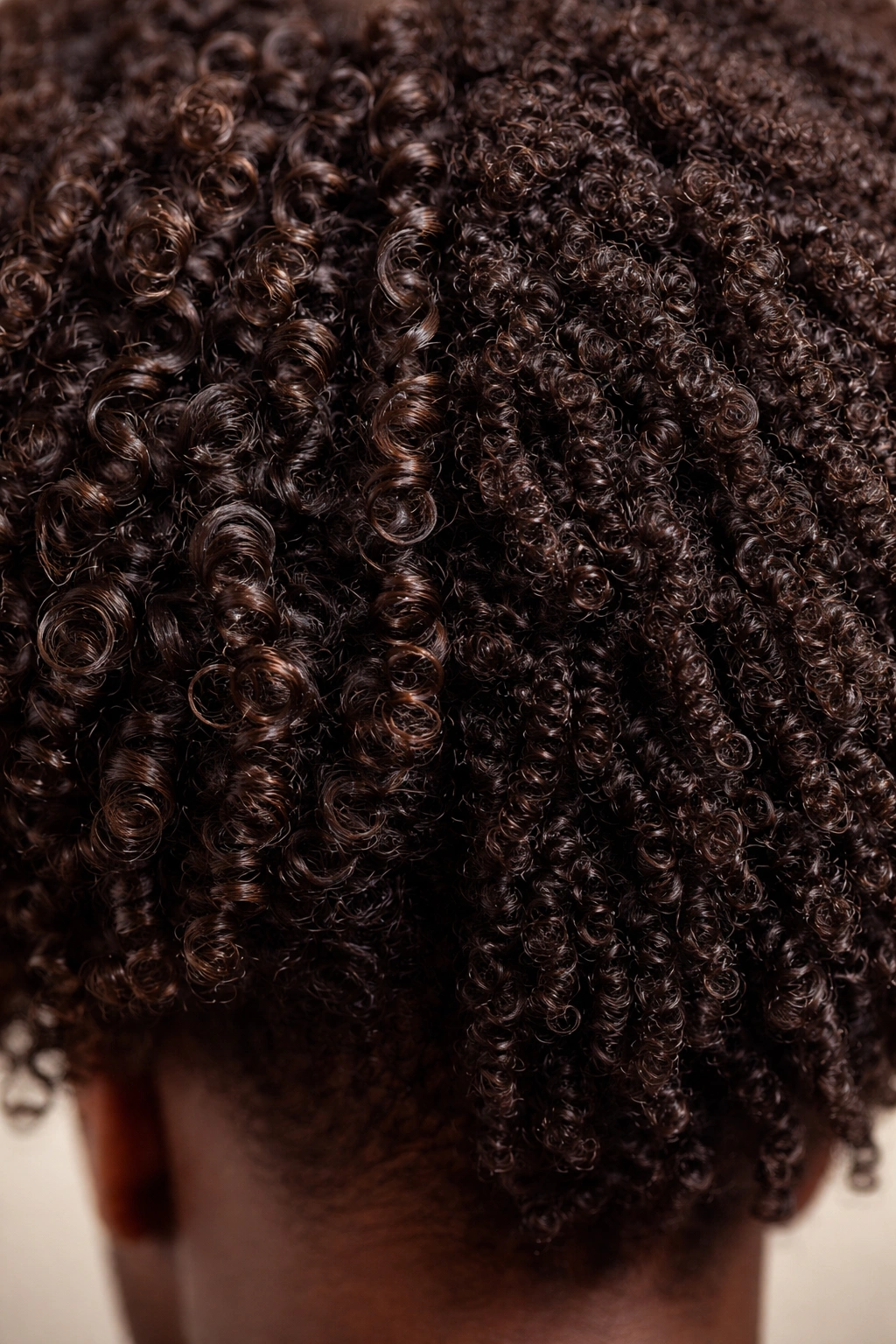 Close-up of Afro-textured hair showing Type 3 curls and Type 4 coils, texture detail