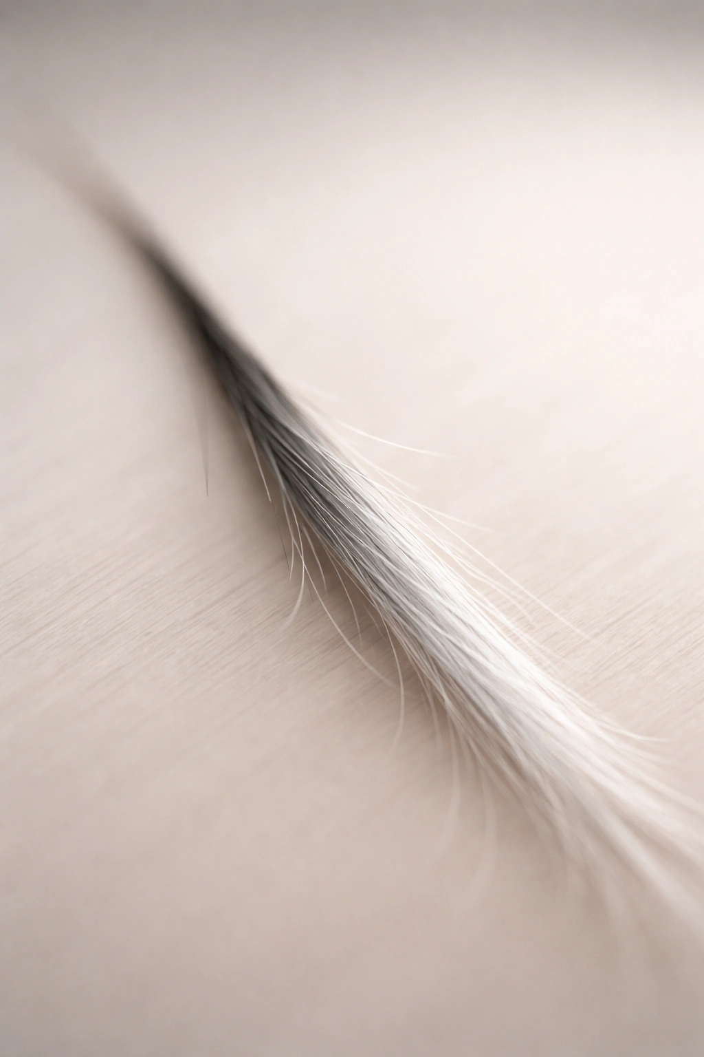 Macro close-up of a single grey hair strand showing pigment loss