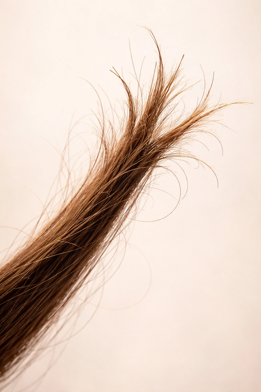 Close-up of a frizzy hair strand with split ends to illustrate common hair care mistakes