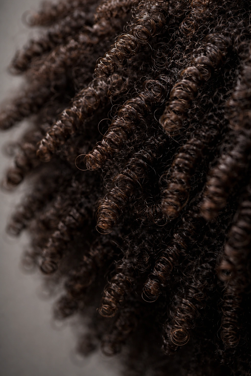 Macro close-up of tightly coiled Afro-textured hair showing dense kinks and flattened cross-sections