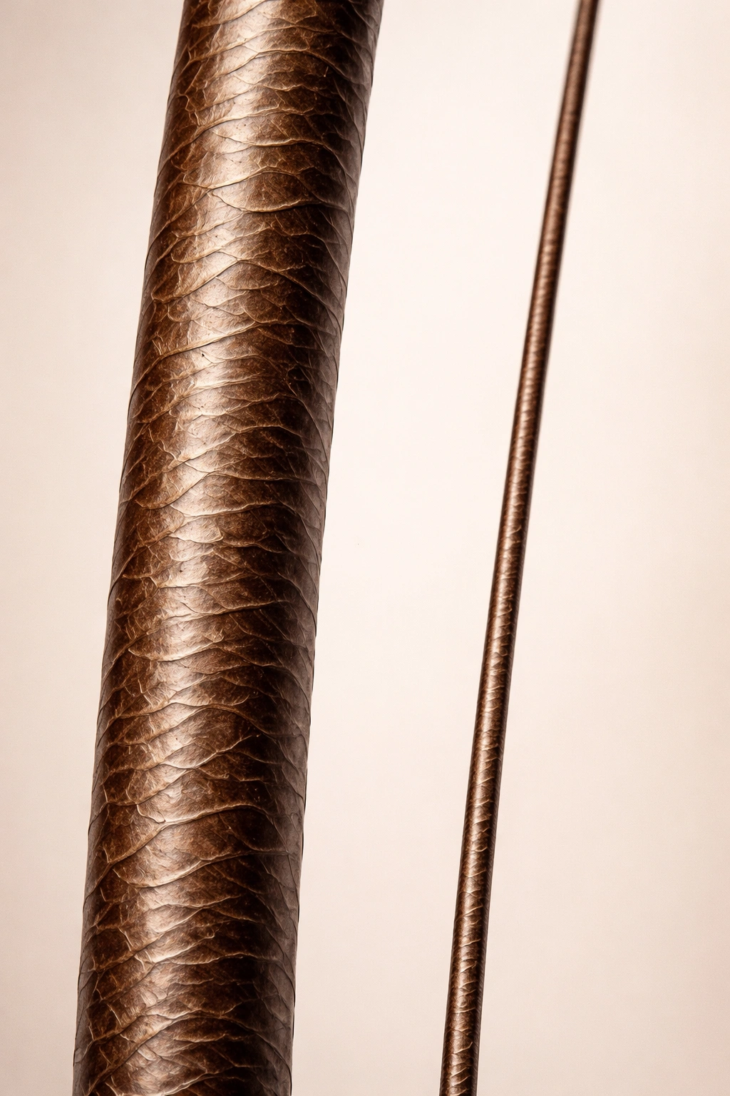 Thick and thin hair strands shown side by side