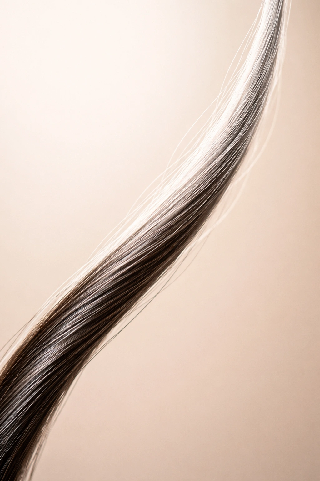 Hair strand with color gradient suggesting possible reversal of grey hair