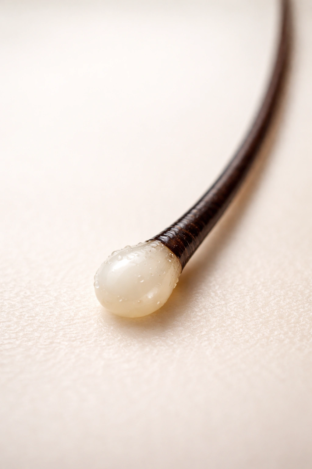 Macro image of a hair strand with a healthy rounded root bulb