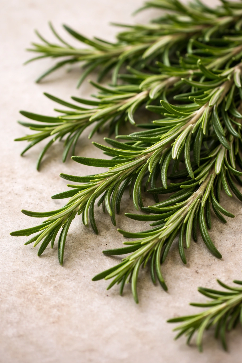 Fresh rosemary sprigs on a neutral surface for natural remedies