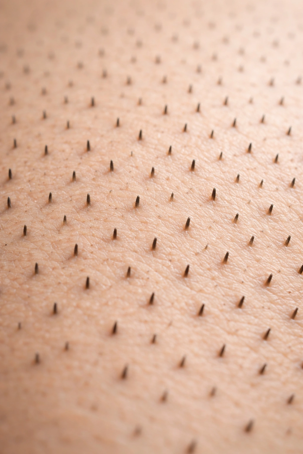 Close-up of skin with short stubble to illustrate shaving myth
