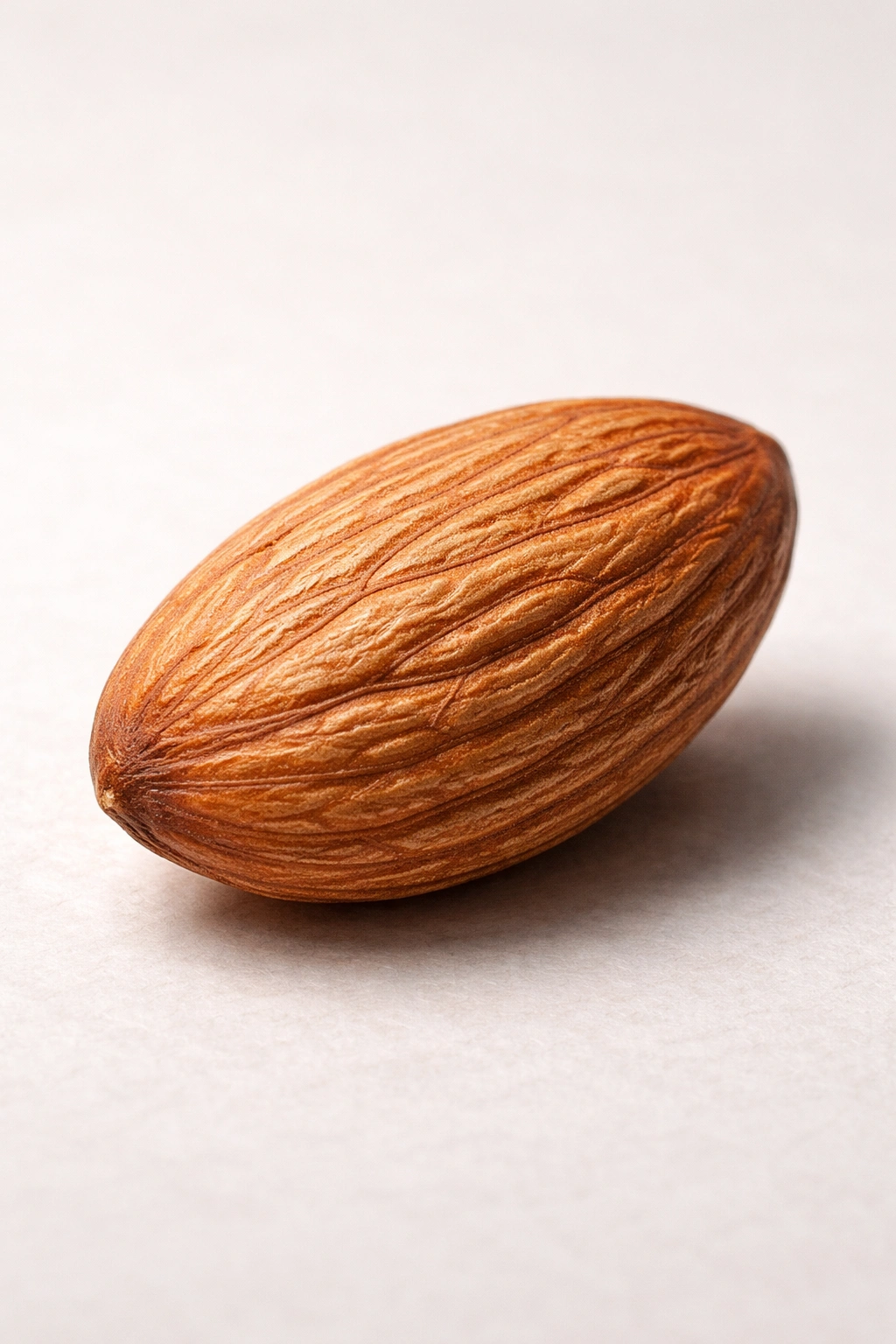 Close-up of a single almond on a neutral background, representing vitamin E
